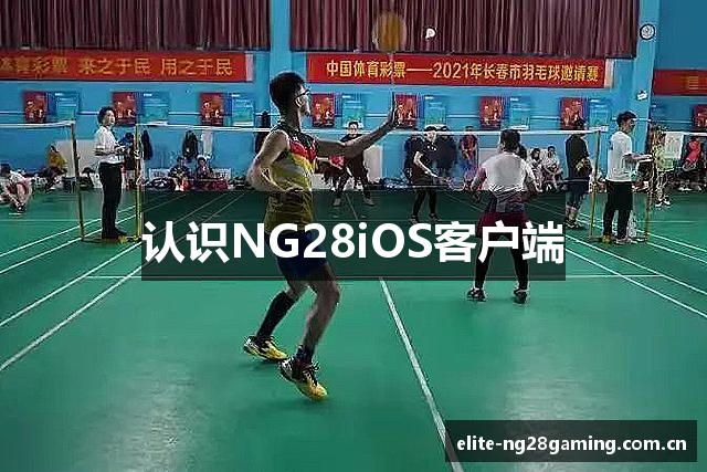 认识NG28iOS客户端